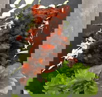 Le Wrap - Prairiewood - Lismore Accommodation