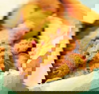 Mrs. Fields - Ringwood - Lismore Accommodation