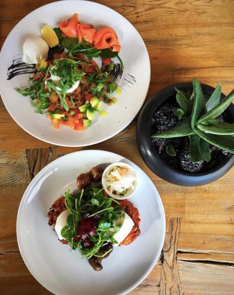 Hankook - Lismore Accommodation 0