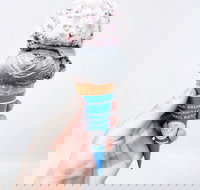 The Max Joy Co. - Eastwood