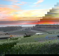 Cape Bernier Vineyard - Lismore Accommodation