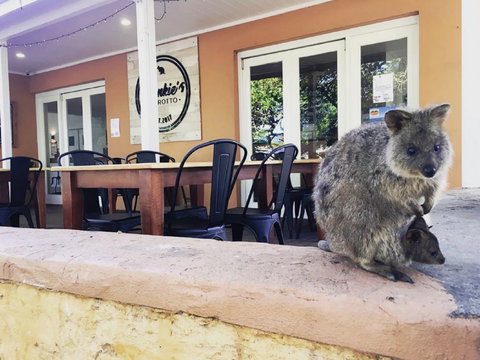 Frankie's On Rotto - Lismore Accommodation 1