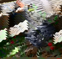 Hill of Promise Winery and Cellar Door