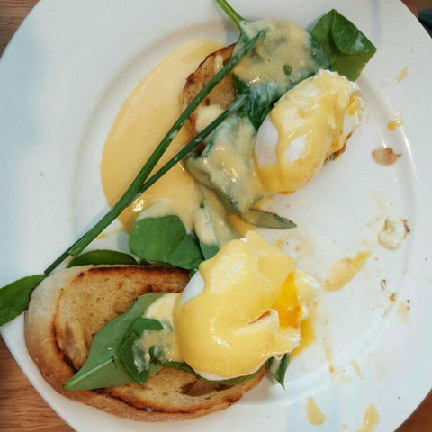 Black Pepper @ Noosa - Lismore Accommodation 0