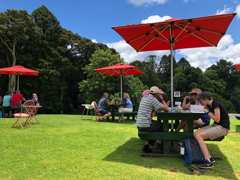 Poppies  Cafe - Lismore Accommodation 1