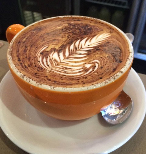 Charlie Lovett - Hurstville - Lismore Accommodation 0