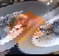 Jimmy Fox - Lismore Accommodation