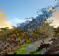 Ruddenklau Wines - Lismore Accommodation