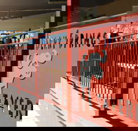 Berry Springs Tavern - Lismore Accommodation