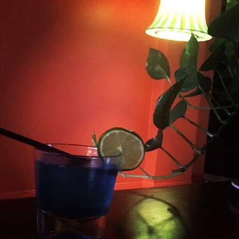 Temple Of Spices Indian + Vegan Restaurant - Lismore Accommodation 0