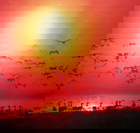 TINH and LAN Vietnamese Restaurant - Lismore Accommodation