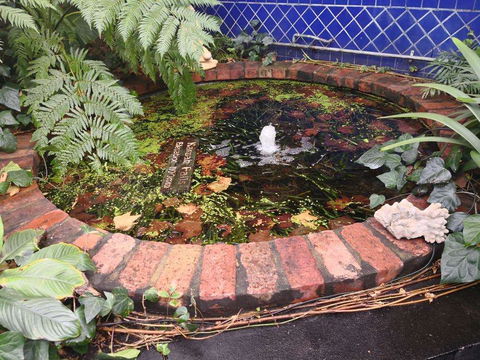 Casa Bianchi - Lismore Accommodation 0