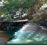 Tree Bar  Grill at Ramada Resort Port Douglas - Lismore Accommodation