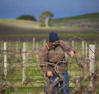 Kurtz Family Vineyards - Lismore Accommodation