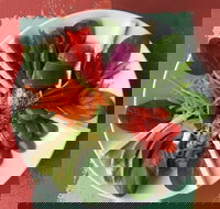 Olive Bus Clare - Lismore Accommodation