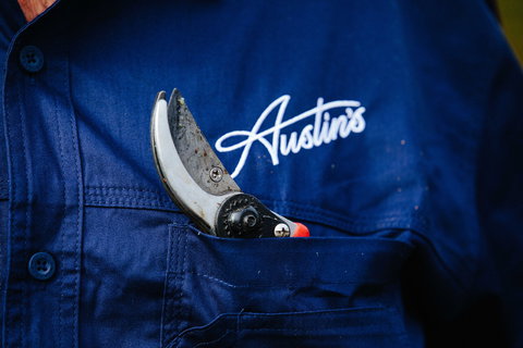 Austin's Wines - Lismore Accommodation 2