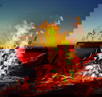 Black Dog Brewery - Lismore Accommodation