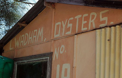 Dainty Sichuan - Noodle Express - Lismore Accommodation 0