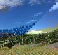 Freycinet Vineyard - Lismore Accommodation