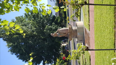 Michelini Wines - Lismore Accommodation 1