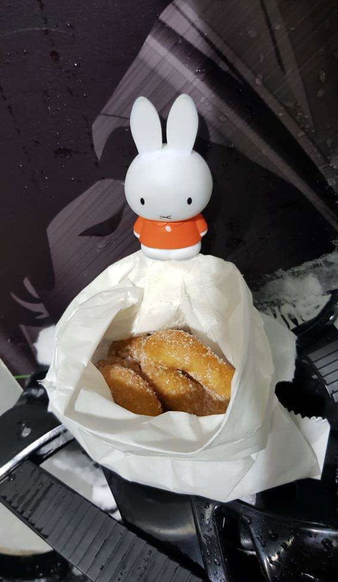 Danjee - Lismore Accommodation 0