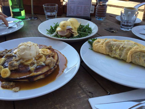 Shaggy Cow - Lismore Accommodation 0