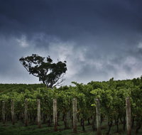Dalrymple Vineyards - Lismore Accommodation