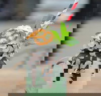 Inspiration Coffee - Lismore Accommodation