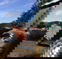 Massena - Lismore Accommodation