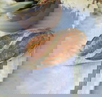 Pandesal Bakery - Lismore Accommodation