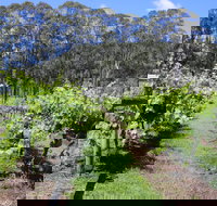 Woongooroo Estate Winery - Lismore Accommodation