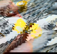 Travelling Bandit - Lismore Accommodation