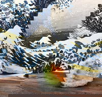 Bamboo Exmouth - Lismore Accommodation