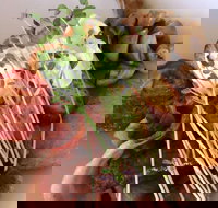 Maudy's Restaurant and Bar - Lismore Accommodation