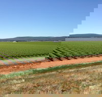 Melange Wines - Lismore Accommodation