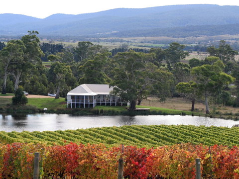 Milton Vineyard - Lismore Accommodation 0