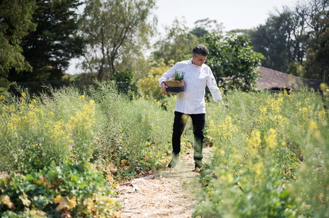 The Wild Flower Bar And Dining - Lismore Accommodation 2