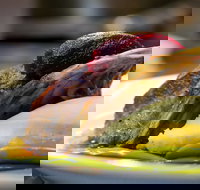 Griffith Exies Club - Lismore Accommodation