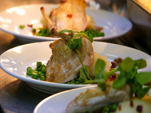 Griffith Exies Club - Lismore Accommodation 1