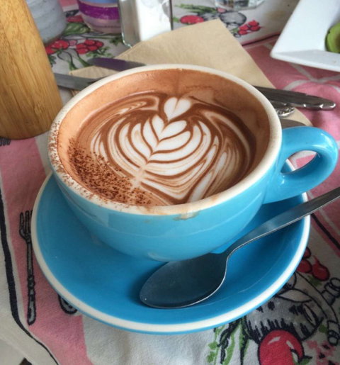 Husk And Honey - Lismore Accommodation 0