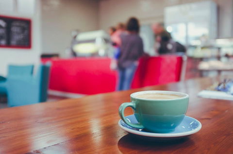 Antz Inya Pantz - East Victoria Park - Lismore Accommodation 0