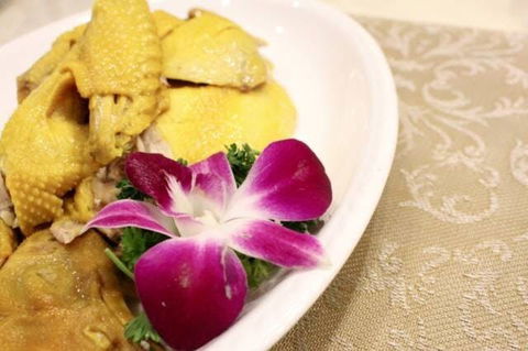 Asian Chef - Lismore Accommodation 0