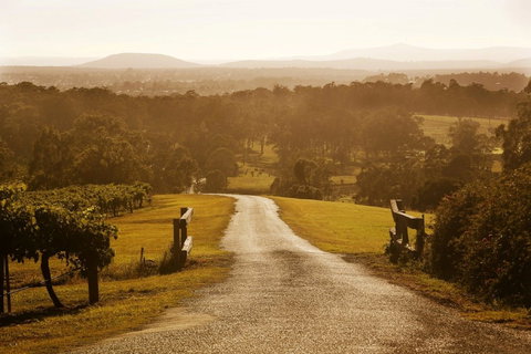 Petersons Wines - Lismore Accommodation 0