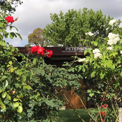 Petersons Wines - Lismore Accommodation 1