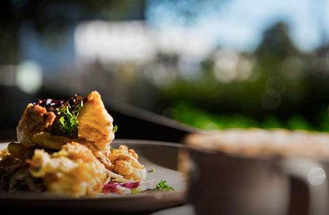 Wild Harvest - Lismore Accommodation 0