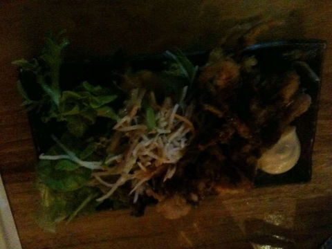 O Sushi - Lismore Accommodation 0