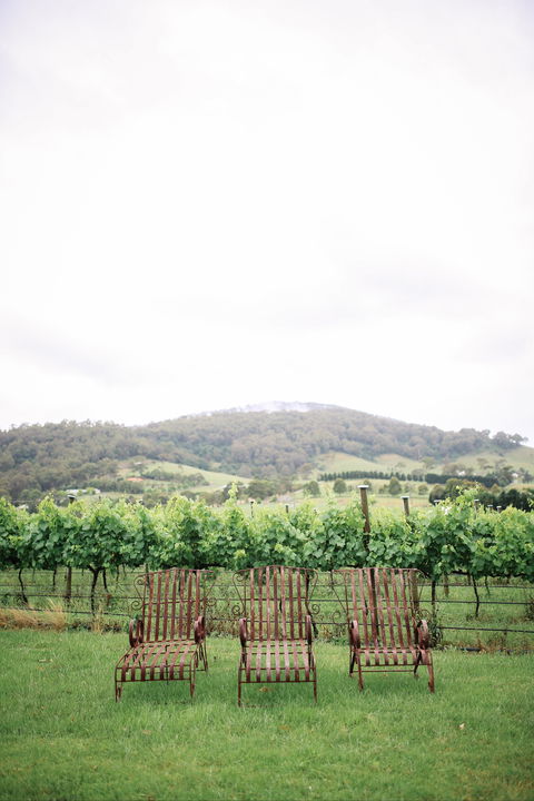 Two Figs Winery - Lismore Accommodation 2