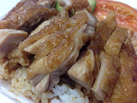 Wasabi House - Lismore Accommodation 0