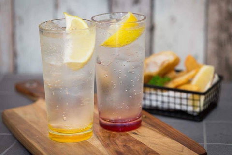 Fish 489 - Lismore Accommodation 0