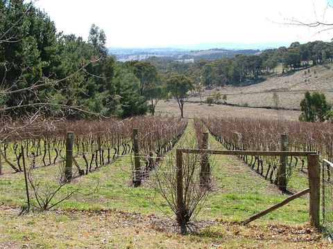 Habitat Vineyard - Lismore Accommodation 0